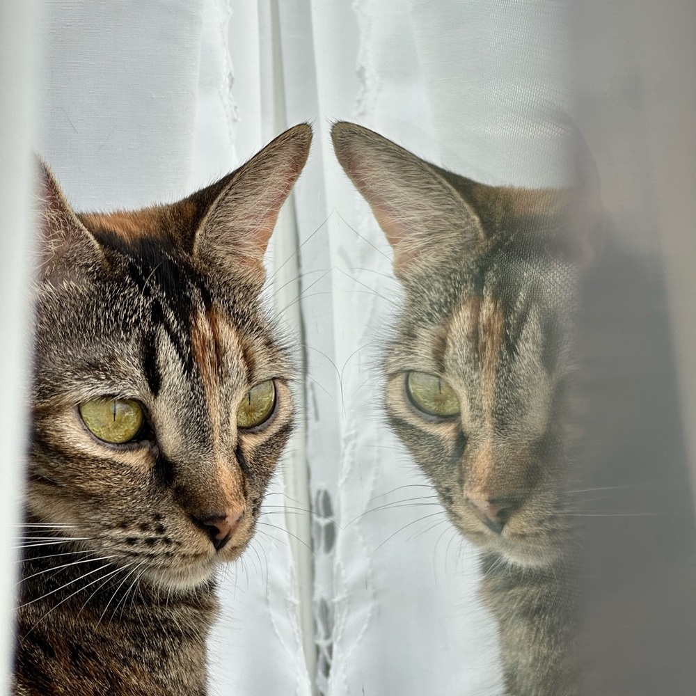 Meet your Posher, Matt